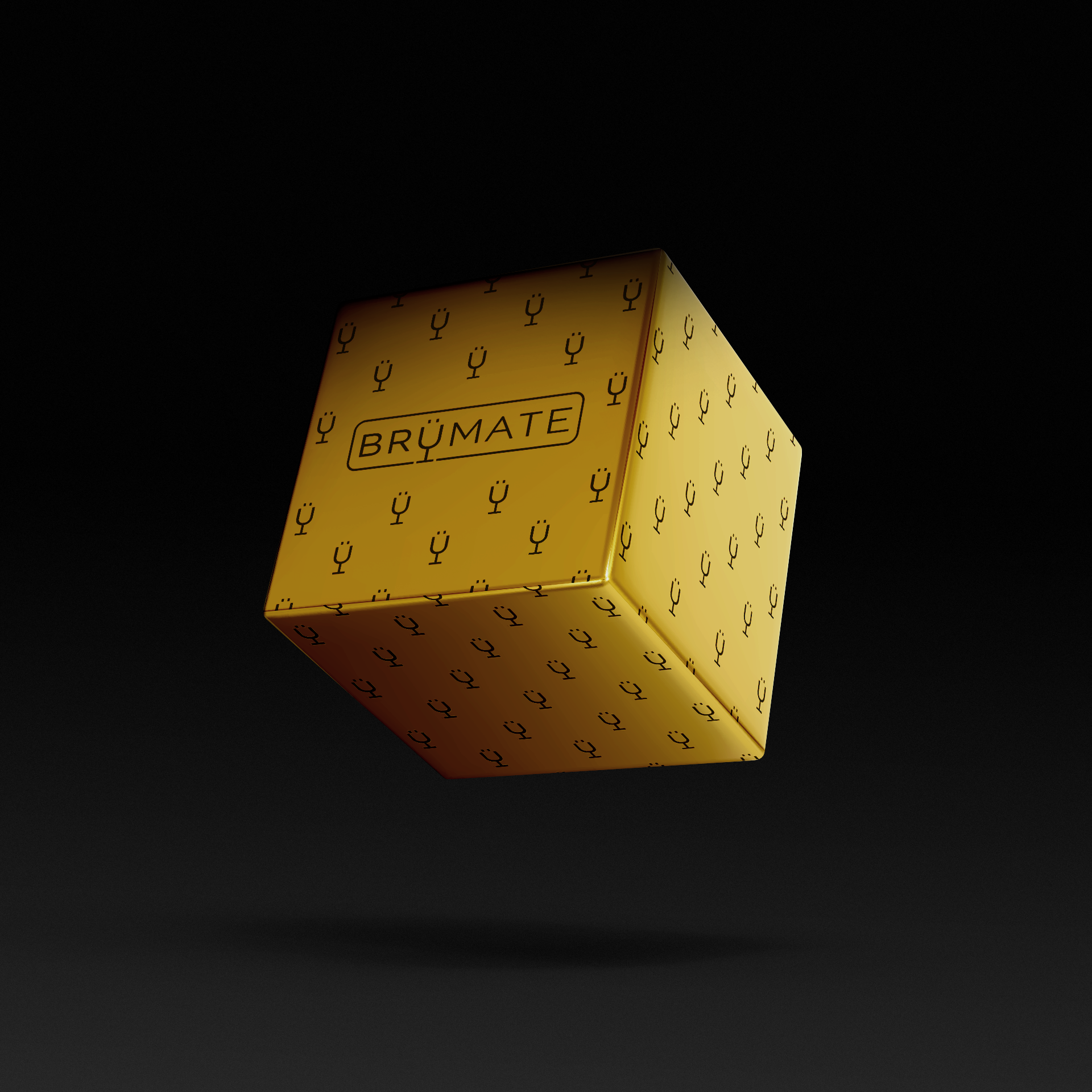 premium-mystery-item-39-70-value-q6 IMG-1548.png